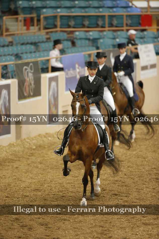 Proof 15YN_02646