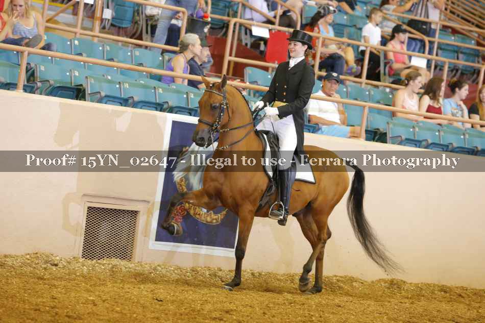 Proof 15YN_02647