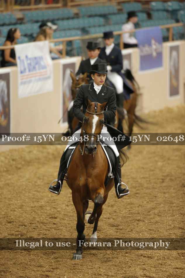 Proof 15YN_02648