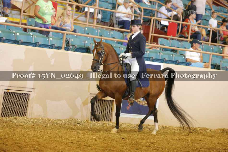 Proof 15YN_02649
