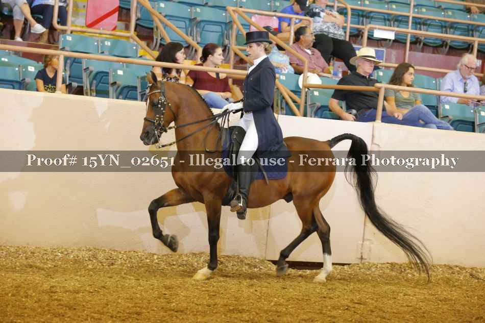 Proof 15YN_02651