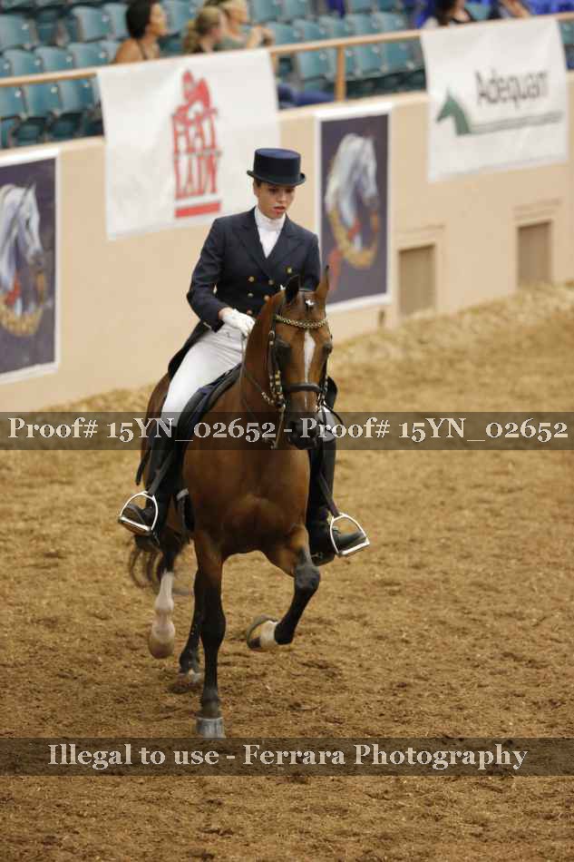 Proof 15YN_02652