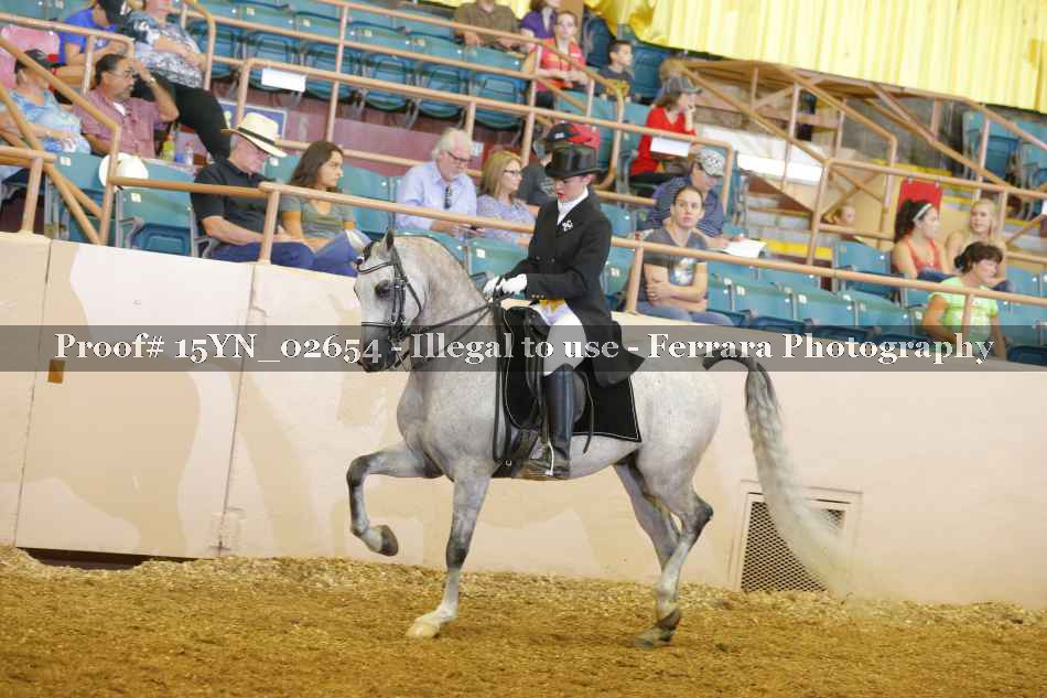 Proof 15YN_02654