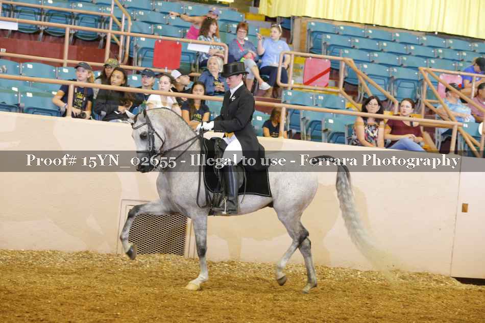 Proof 15YN_02655