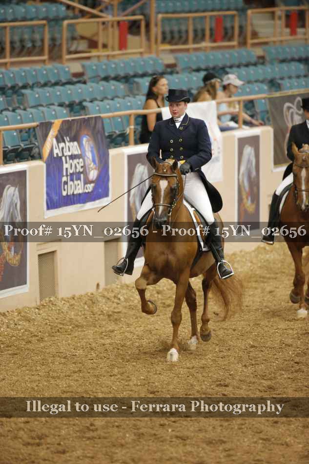 Proof 15YN_02656