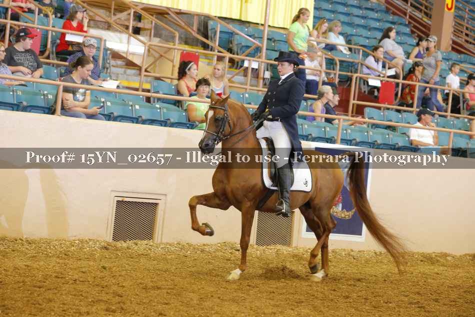 Proof 15YN_02657
