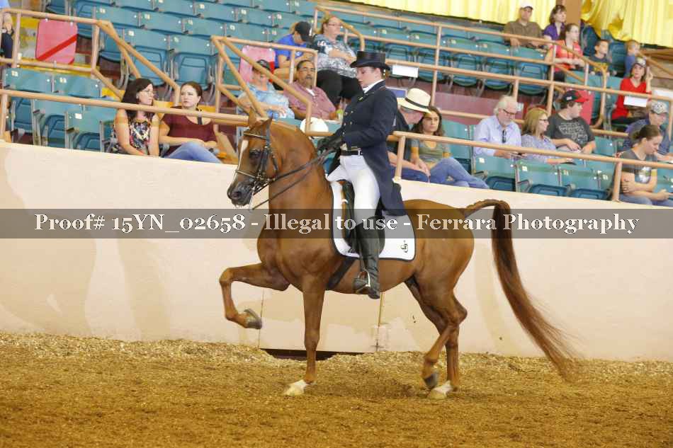 Proof 15YN_02658
