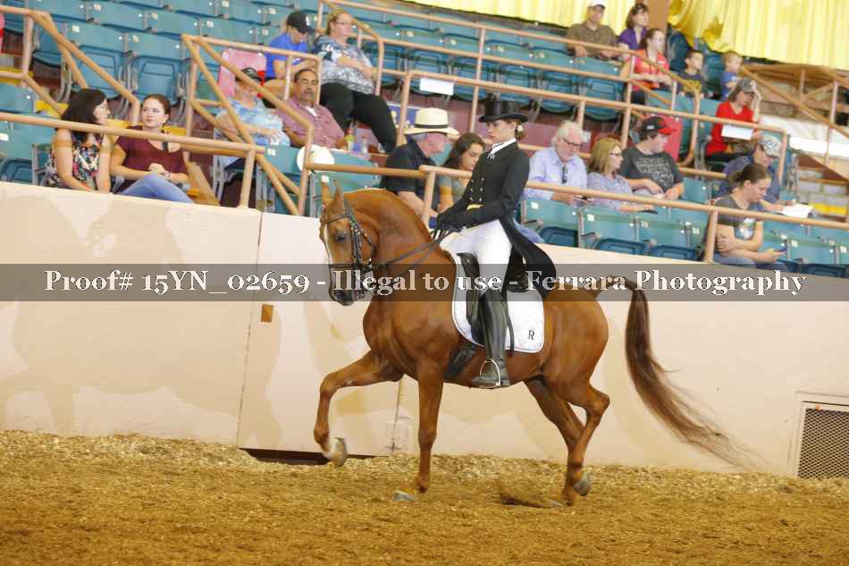 Proof 15YN_02659