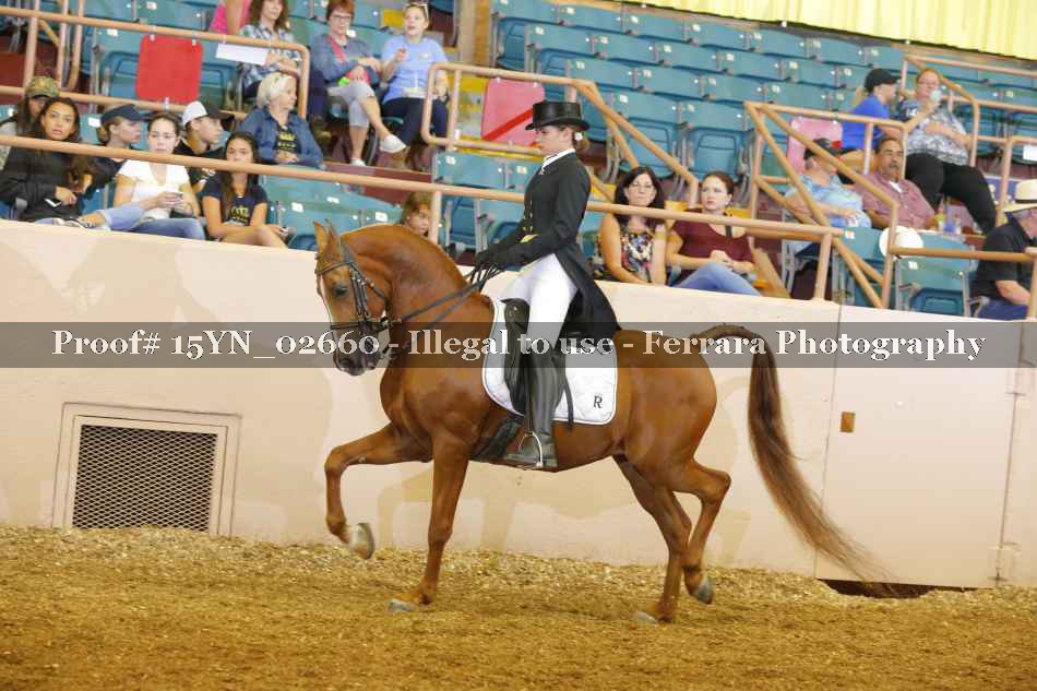 Proof 15YN_02660