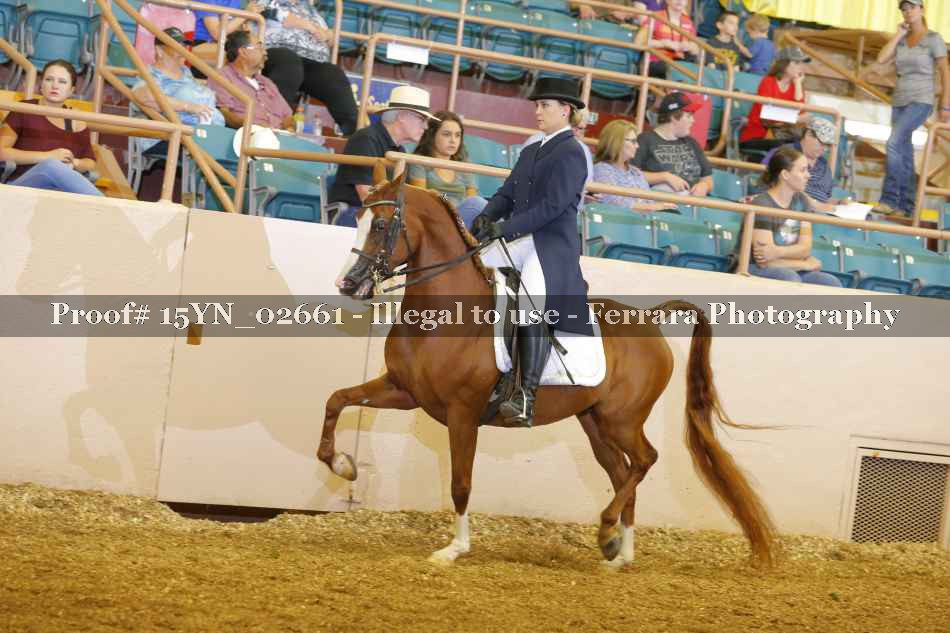 Proof 15YN_02661