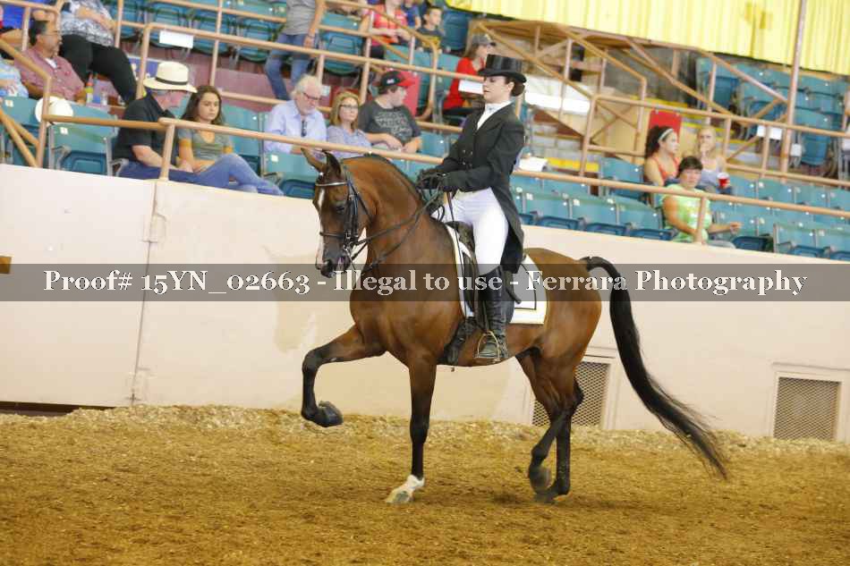Proof 15YN_02663