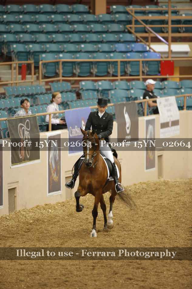 Proof 15YN_02664