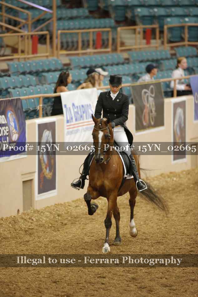Proof 15YN_02665