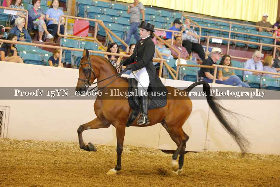 Proof 15YN_02666