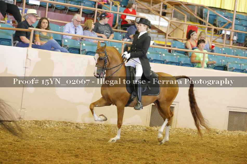 Proof 15YN_02667