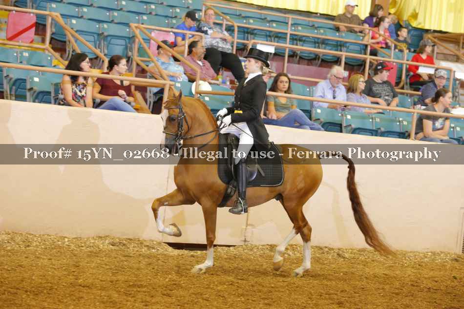 Proof 15YN_02668