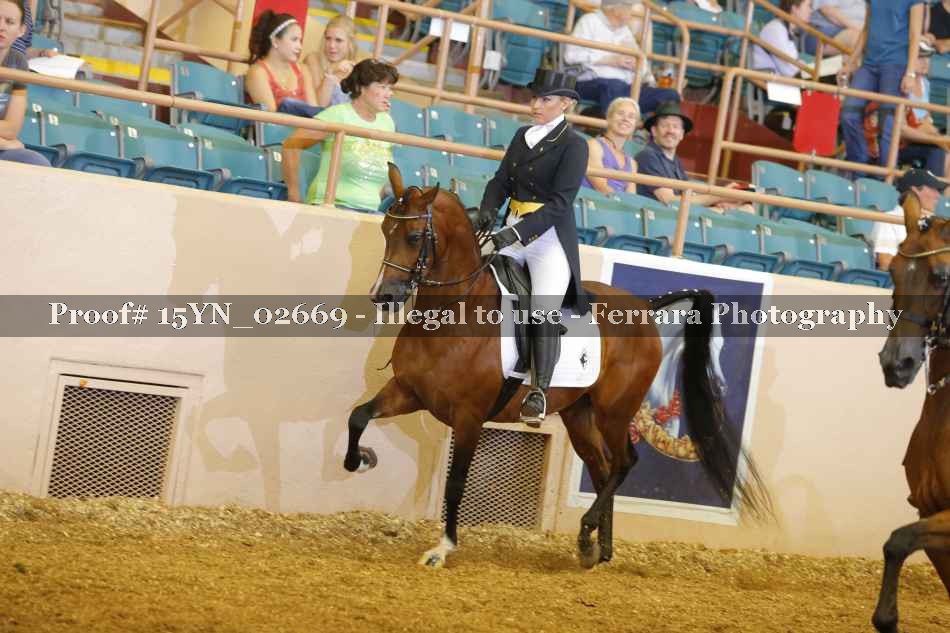 Proof 15YN_02669