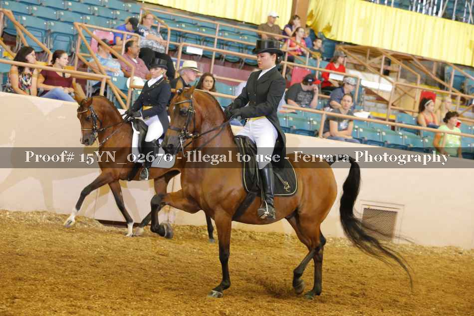 Proof 15YN_02670