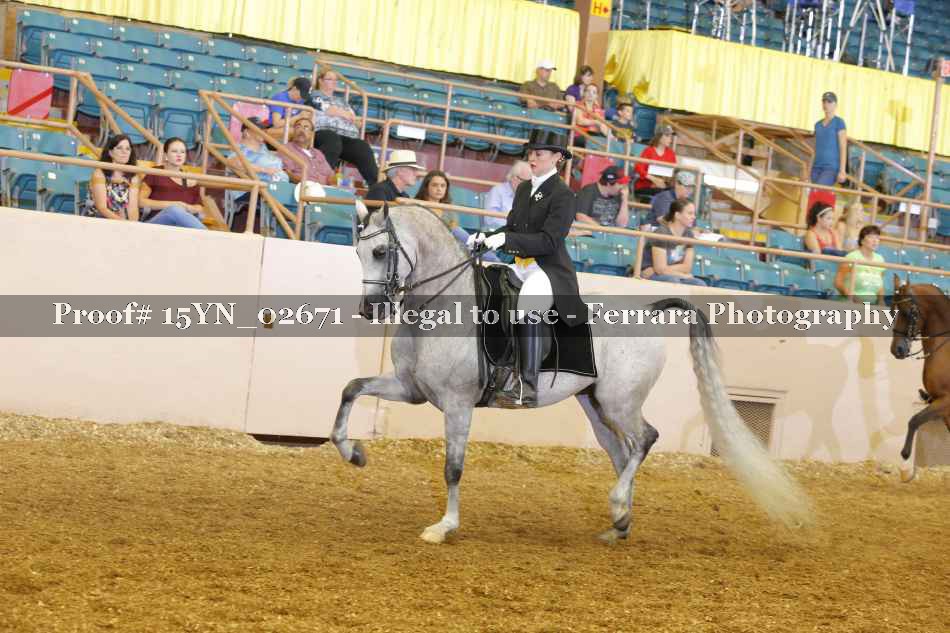 Proof 15YN_02671