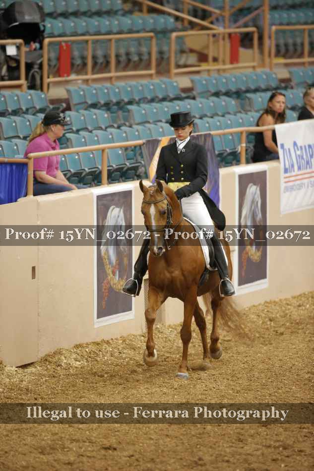 Proof 15YN_02672