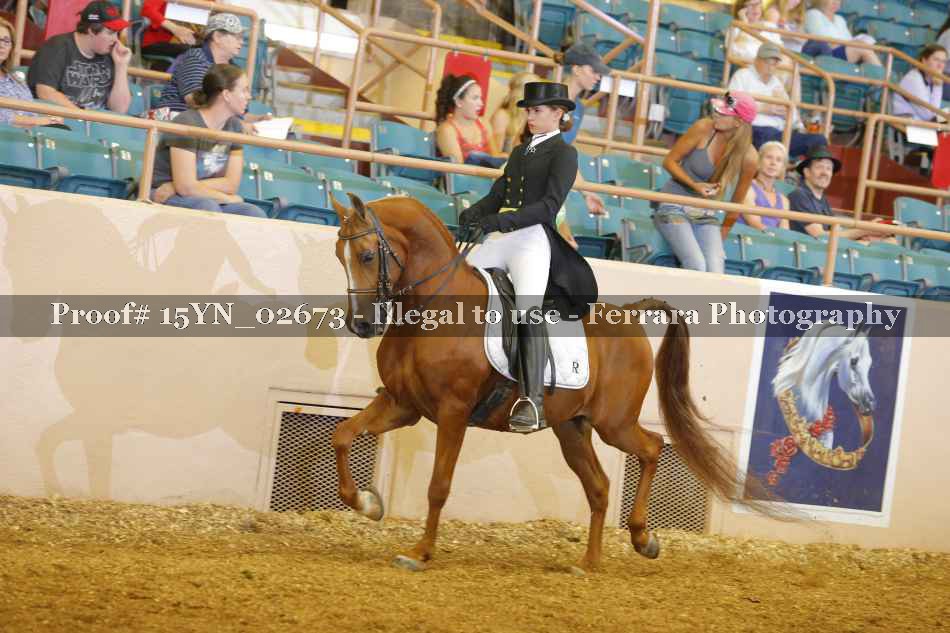 Proof 15YN_02673