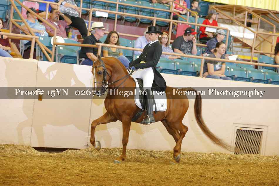 Proof 15YN_02674