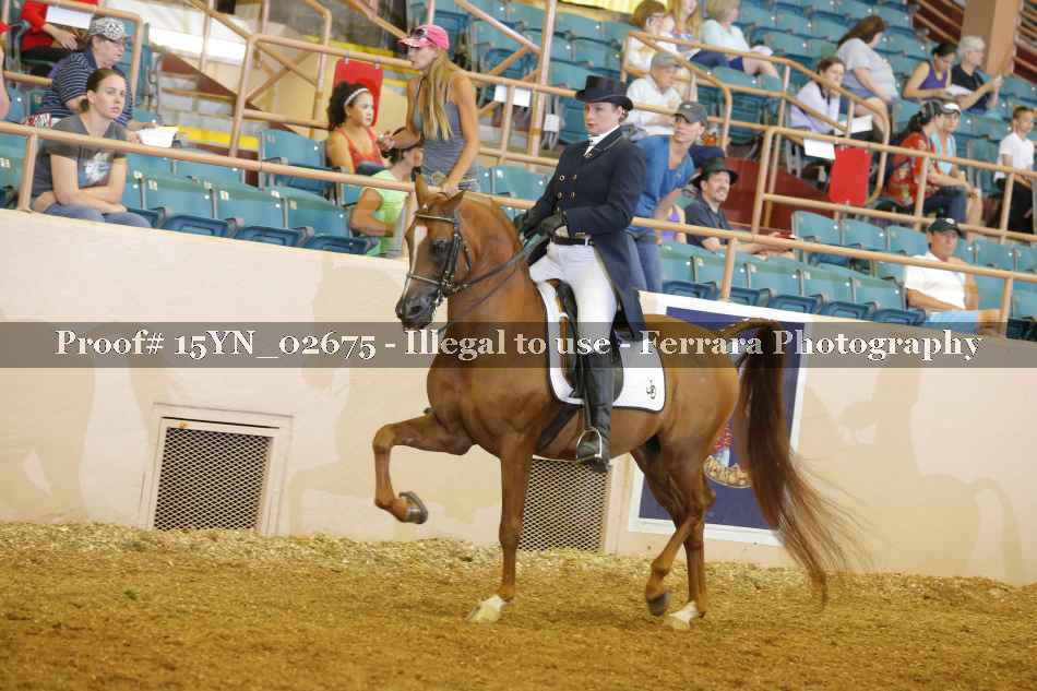 Proof 15YN_02675