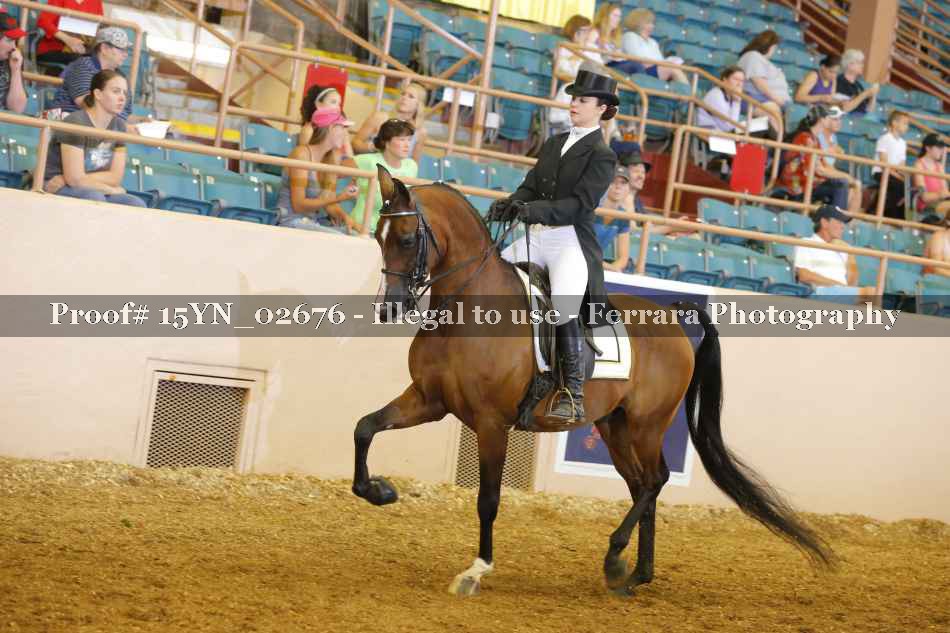 Proof 15YN_02676