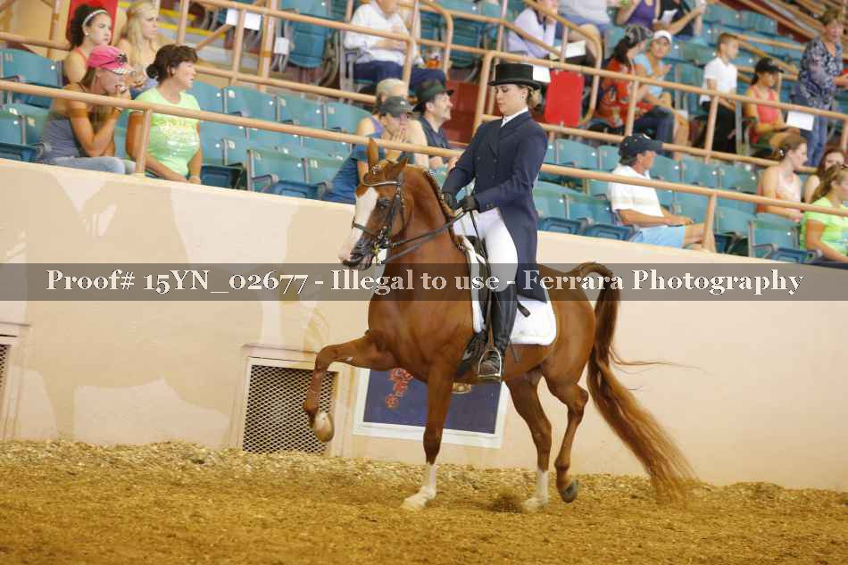 Proof 15YN_02677