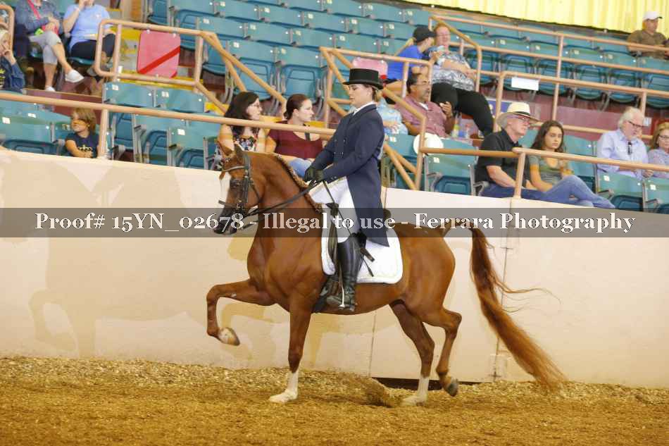 Proof 15YN_02678