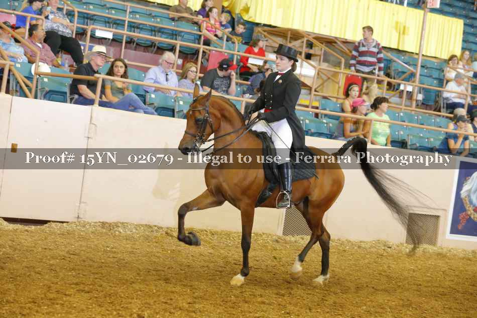 Proof 15YN_02679
