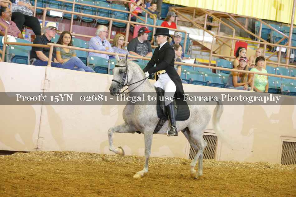 Proof 15YN_02681