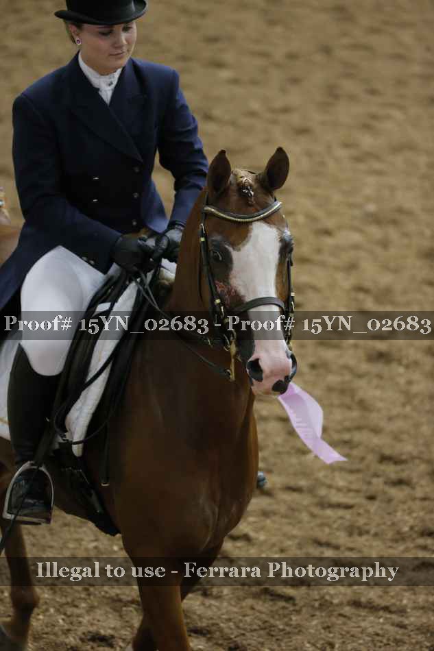 Proof 15YN_02683