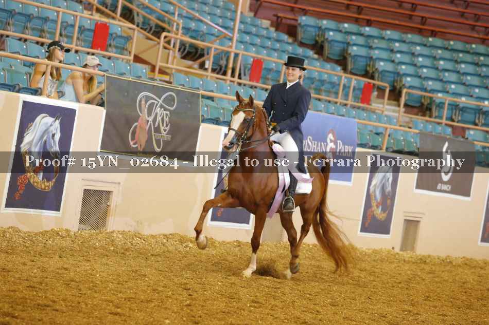 Proof 15YN_02684