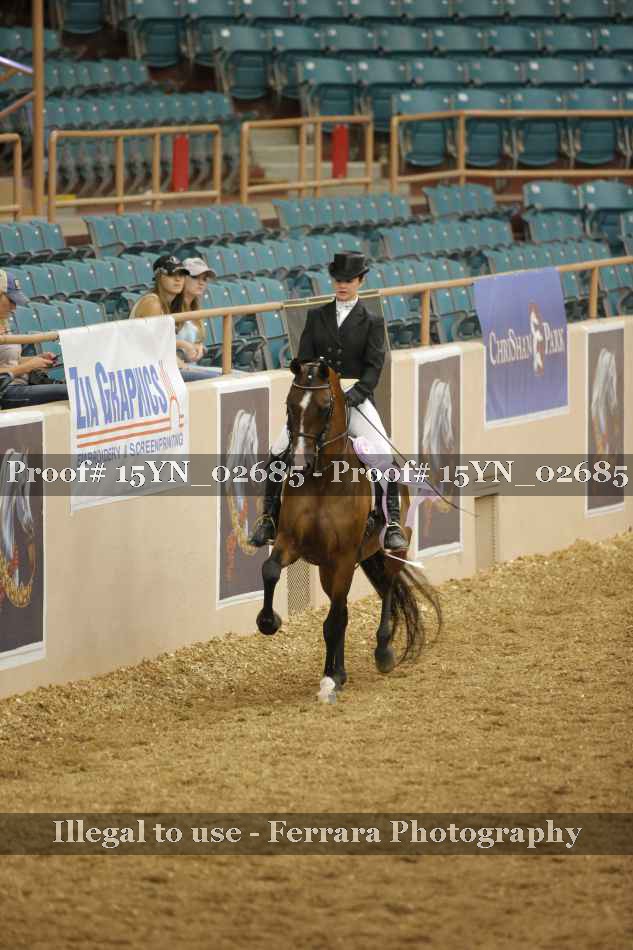 Proof 15YN_02685