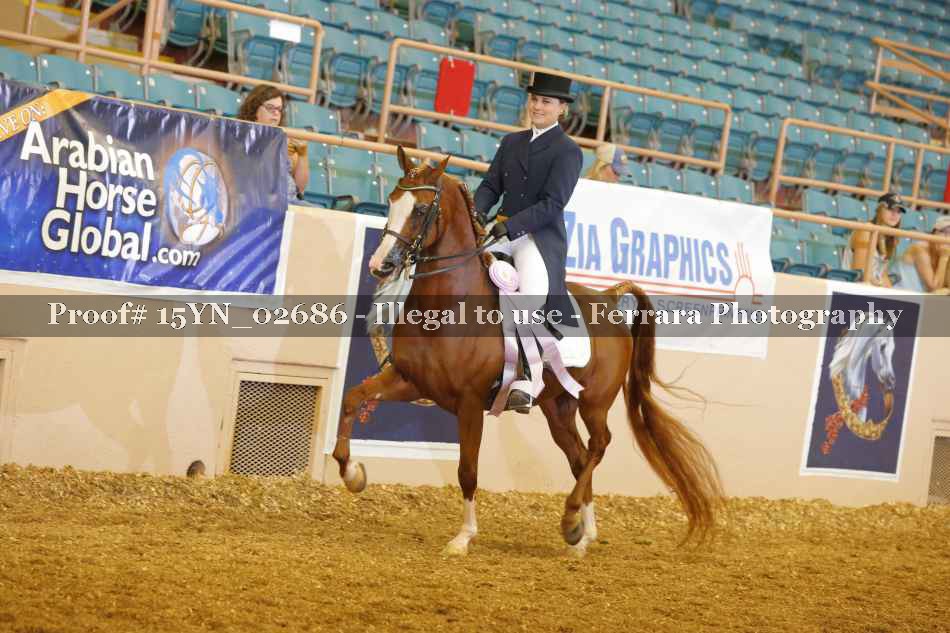Proof 15YN_02686