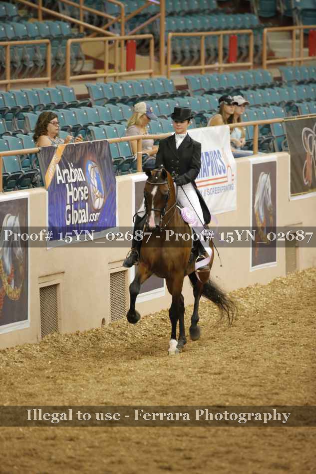 Proof 15YN_02687