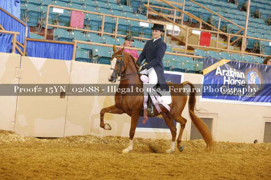 Proof 15YN_02688