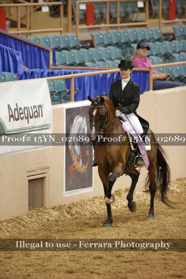 Proof 15YN_02689