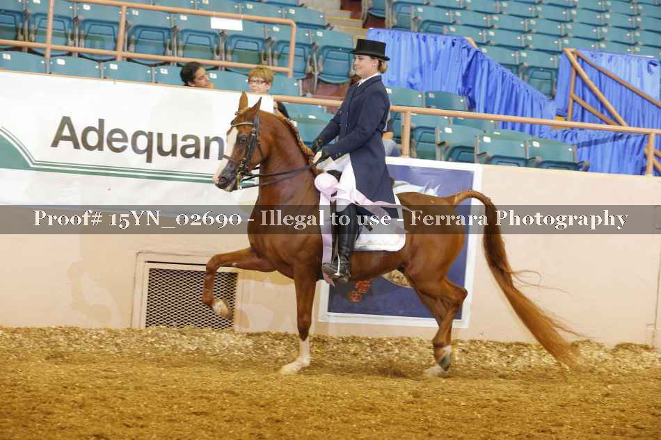 Proof 15YN_02690