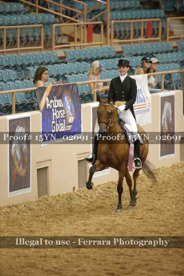 Proof 15YN_02691