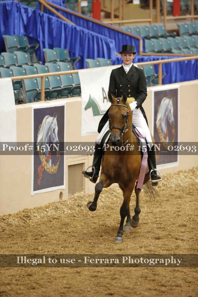 Proof 15YN_02693