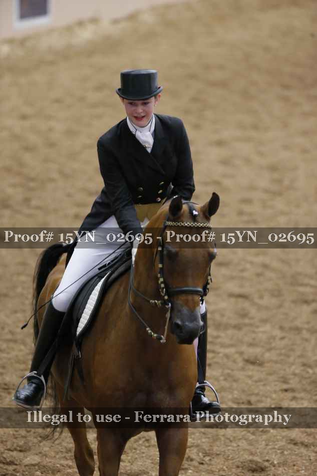 Proof 15YN_02695