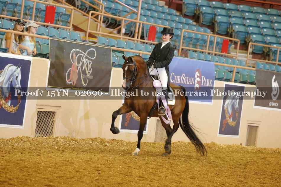 Proof 15YN_02696