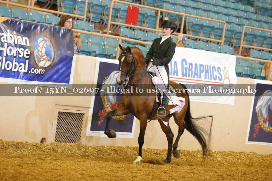 Proof 15YN_02697