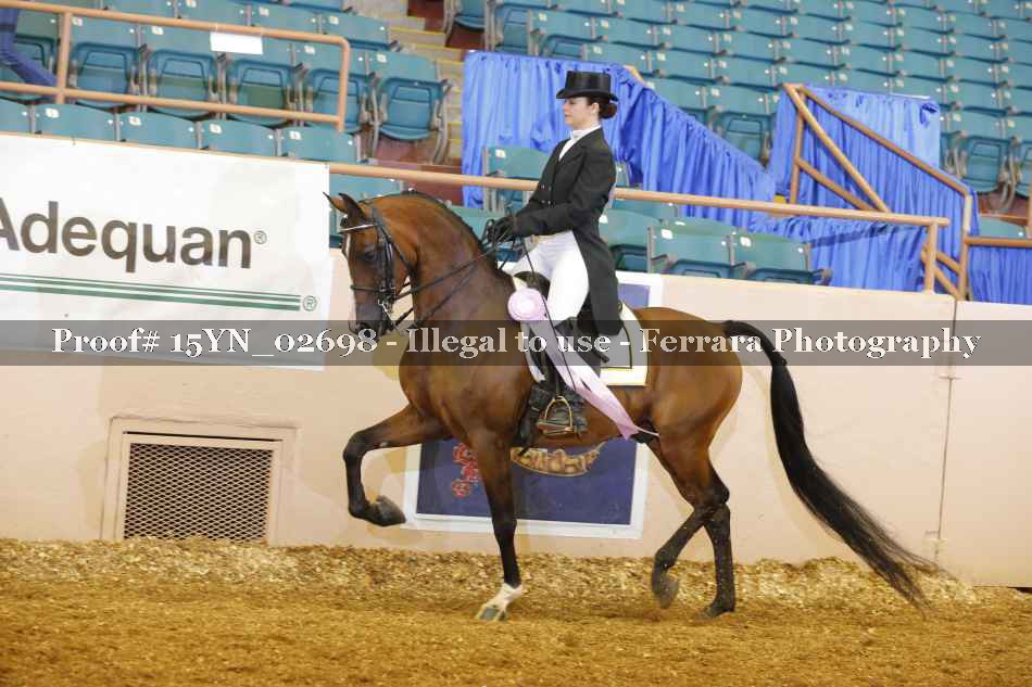 Proof 15YN_02698