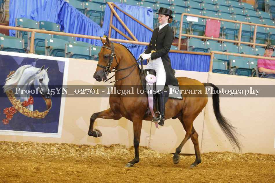 Proof 15YN_02701