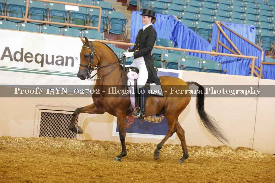 Proof 15YN_02702