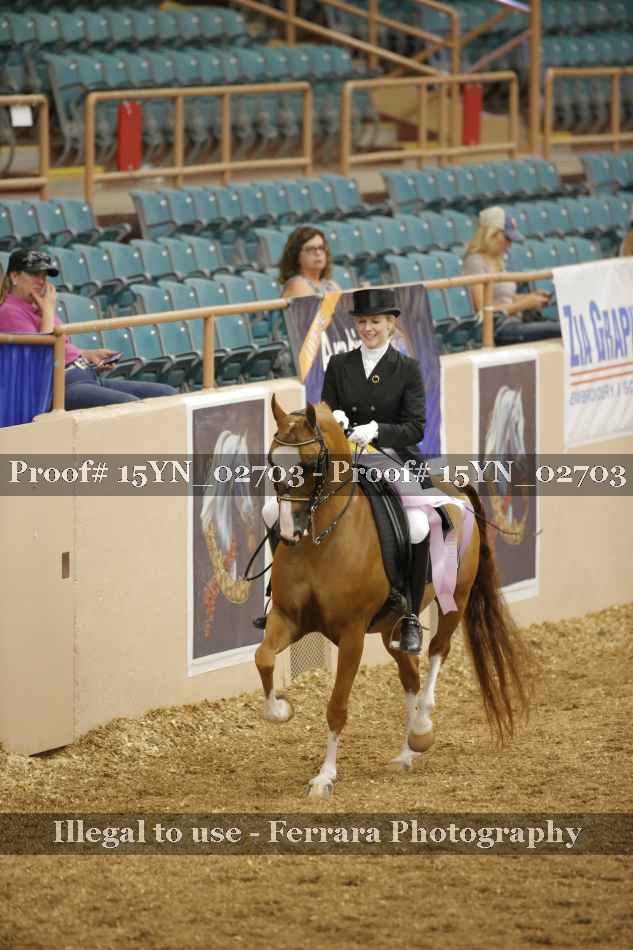 Proof 15YN_02703