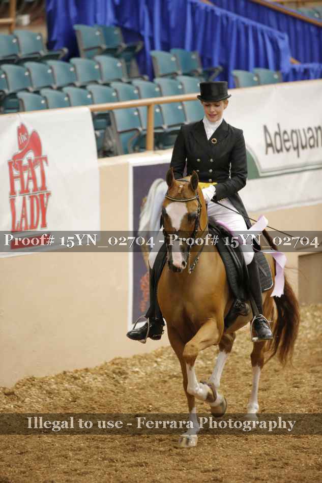 Proof 15YN_02704